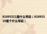 01095511是什么号码（01095510是个什么号码）
