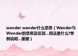 wonder wander什么意思（Wander与Wonder的意思及区别...用法是什么?举例说明...谢谢）