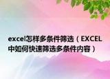excel怎样多条件筛选（EXCEL中如何快速筛选多条件内容）