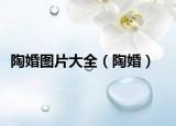 陶婚图片大全（陶婚）