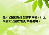 最大公因数是什么意思 举例（什么叫最大公因数?最好举例说明）