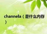 channela（是什么内存）