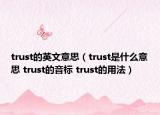 trust的英文意思（trust是什么意思 trust的音标 trust的用法）