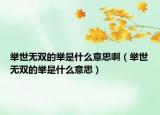 举世无双的举是什么意思啊（举世无双的举是什么意思）