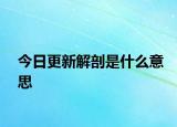 今日更新解剖是什么意思