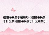 信阳毛尖属于名茶吗（信阳毛尖属于什么茶 信阳毛尖属于什么茶类）