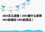 skin怎么读音（skin是什么意思 skin的音标 skin的用法）