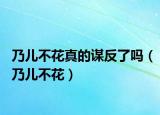 乃儿不花真的谋反了吗（乃儿不花）