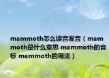 mammoth怎么读音发音（mammoth是什么意思 mammoth的音标 mammoth的用法）