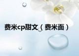 费米cp甜文（费米面）