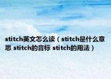 stitch英文怎么读（stitch是什么意思 stitch的音标 stitch的用法）