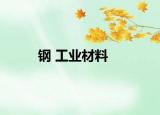 钢 工业材料