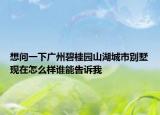 想问一下广州碧桂园山湖城市别墅现在怎么样谁能告诉我