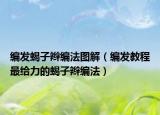 编发蝎子辫编法图解（编发教程最给力的蝎子辫编法）