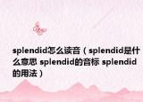 splendid怎么读音（splendid是什么意思 splendid的音标 splendid的用法）