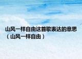 山风一样自由这首歌表达的意思（山风一样自由）