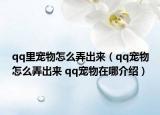 qq里宠物怎么弄出来（qq宠物怎么弄出来 qq宠物在哪介绍）