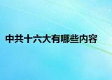 中共十六大有哪些内容