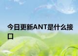 今日更新ANT是什么接口