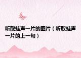听取蛙声一片的图片（听取蛙声一片的上一句）