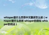 whisper是什么意思中文翻译怎么读（whisper是什么意思 whisper的音标 whisper的用法）