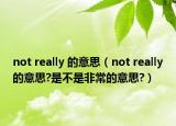 not really 的意思（not really的意思?是不是非常的意思?）