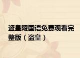 盗皇陵国语免费观看完整版（盗皇）