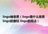 lingo啥意思（lingo是什么意思 lingo的音标 lingo的用法）