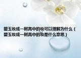 碧玉妆成一树高中的妆可以理解为什么（碧玉妆成一树高中的妆是什么意思）