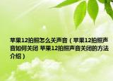 苹果12拍照怎么关声音（苹果12拍照声音如何关闭 苹果12拍照声音关闭的方法介绍）