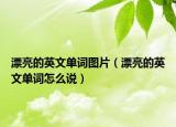 漂亮的英文单词图片（漂亮的英文单词怎么说）