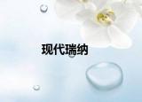 现代瑞纳