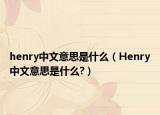 henry中文意思是什么（Henry中文意思是什么?）