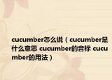 cucumber怎么说（cucumber是什么意思 cucumber的音标 cucumber的用法）
