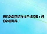 想你韩剧国语在线手机观看（想你韩剧结局）