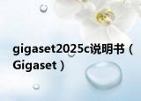 gigaset2025c说明书（Gigaset）