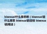 bisexual什么意思啊（bisexual是什么意思 bisexual的音标 bisexual的用法）