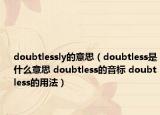 doubtlessly的意思（doubtless是什么意思 doubtless的音标 doubtless的用法）