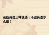 汤圆英语三种说法（汤圆英语怎么说）