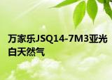 万家乐JSQ14-7M3亚光白天然气