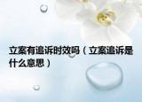 立案有追诉时效吗（立案追诉是什么意思）