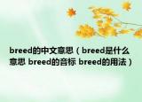 breed的中文意思（breed是什么意思 breed的音标 breed的用法）