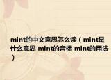 mint的中文意思怎么读（mint是什么意思 mint的音标 mint的用法）