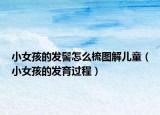 小女孩的发髻怎么梳图解儿童（小女孩的发育过程）