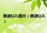 奥迪Q2L图片（奥迪Q2L）