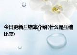 今日更新压缩率介绍(什么是压缩比率)