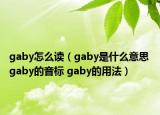 gaby怎么读（gaby是什么意思 gaby的音标 gaby的用法）