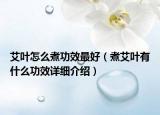 艾叶怎么煮功效最好（煮艾叶有什么功效详细介绍）