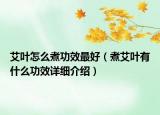 艾叶怎么煮功效最好（煮艾叶有什么功效详细介绍）