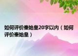 如何评价秦始皇20字以内（如何评价秦始皇）